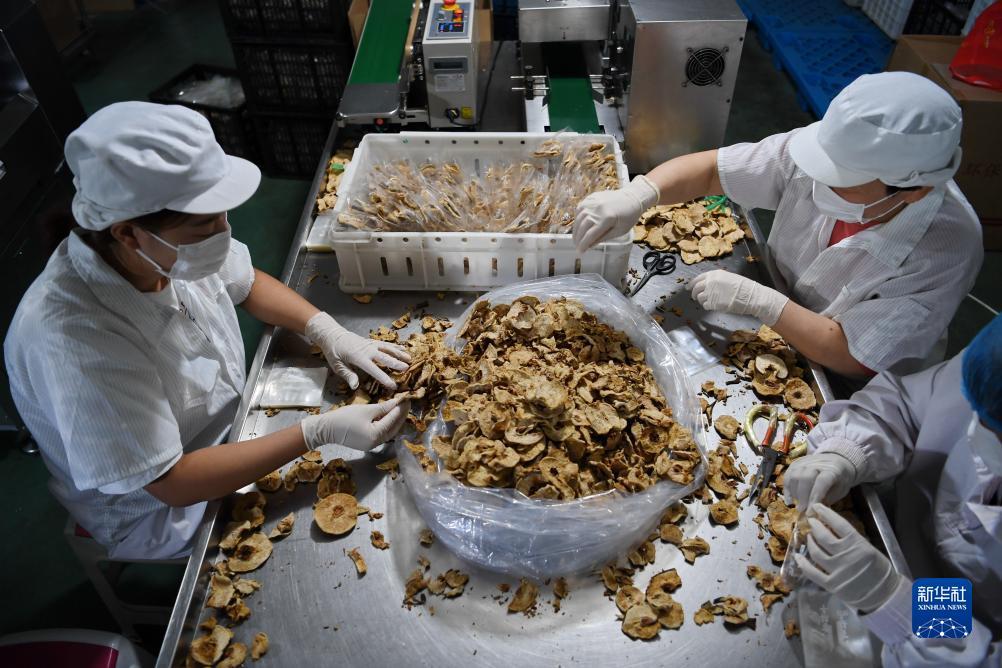 哪个棋牌好啊